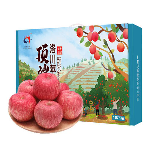 陕西顶端果业洛川红富士苹果礼盒15枚70mm 小果 水果礼盒 商品图0