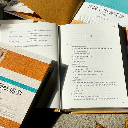 普通心理病理学 雅斯贝尔斯著作集 上中下3册精装 商品图7