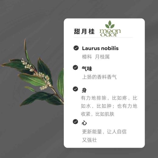 17  有机甜月桂精油 【香气017】 商品图0