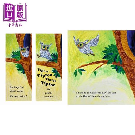 【中商原版】小猫头鹰的探险夜 Petr Horacek Tiny Owls Scary Day 英文原版 儿童绘本 动物故事书 精装精品绘本 进口童书 商品图2