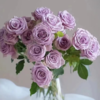 【拍市玫瑰】紫霞仙子 20支/扎  紫色玫瑰  云南基地发货 （价格已包含包装费用） 运费以实际为准，多退少补。 商品缩略图1