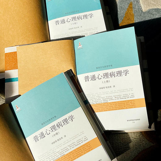 普通心理病理学 雅斯贝尔斯著作集 上中下3册精装 商品图6