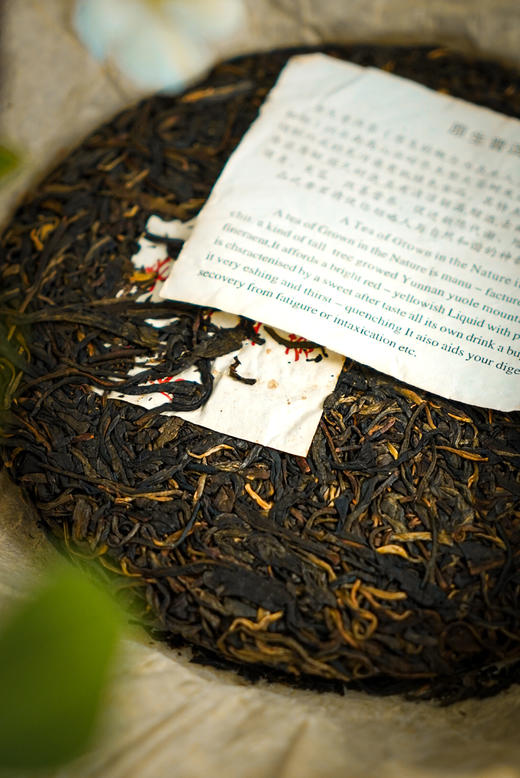 【2013百花潭】铜箐河深处，茶王树单株 商品图2