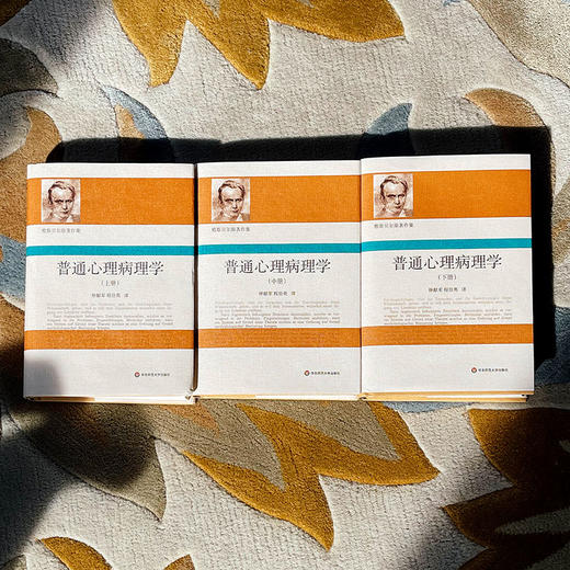 普通心理病理学 雅斯贝尔斯著作集 上中下3册精装 商品图1