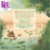 【中商原版】Carrie Shryock What Goes on inside a Beaver Pond 池塘里的海狸 英文原版进口图书 儿童绘本 动物科普图画书 商品缩略图1