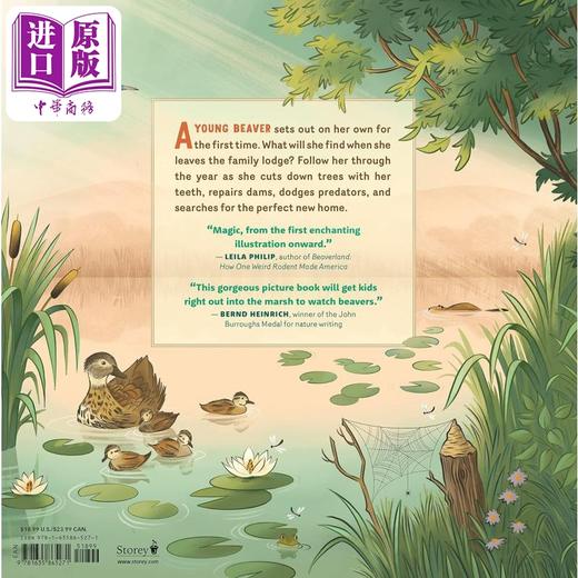 【中商原版】Carrie Shryock What Goes on inside a Beaver Pond 池塘里的海狸 英文原版进口图书 儿童绘本 动物科普图画书 商品图1