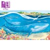 【中商原版】Laura Chamberlain Hope the Whale 蓝鲸霍普的海洋旅程 英文原版进口图书 儿童绘本 动物知识科普故事图画书 商品缩略图1