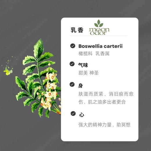 12  有机索马里乳香  神的礼物 【香气012】 商品图0