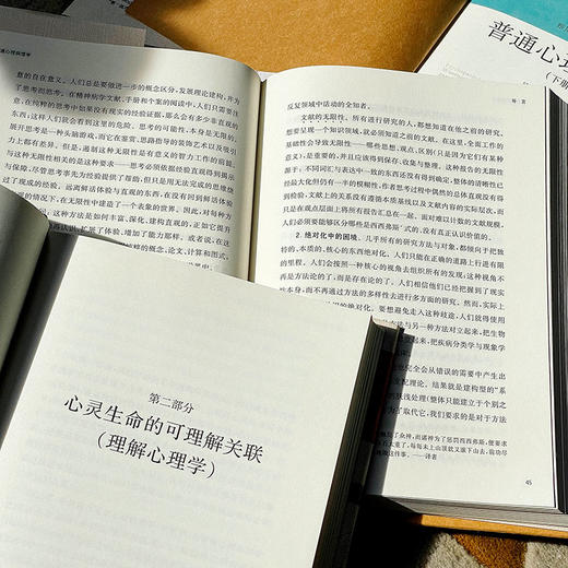 普通心理病理学 雅斯贝尔斯著作集 上中下3册精装 商品图9