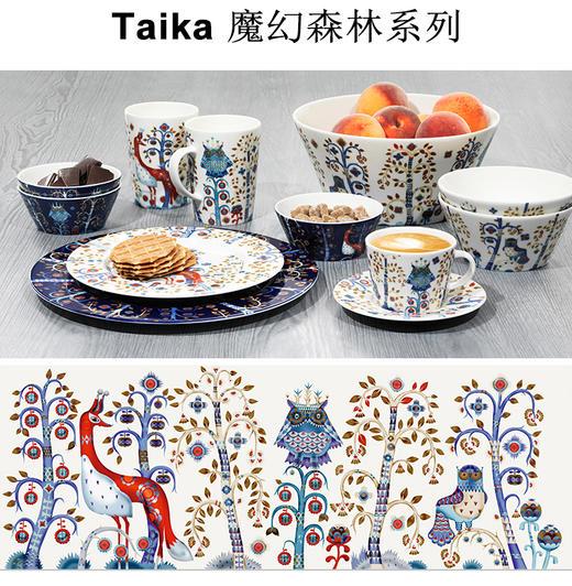 【巴乔家】芬兰Iittala魔幻森林系列北欧精致陶瓷马克杯咖啡杯碟套装 商品图0