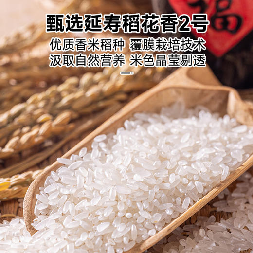 拾爸家⠀稻香米 | 甄选延寿稻花香2号大米，米香浓郁 商品图2