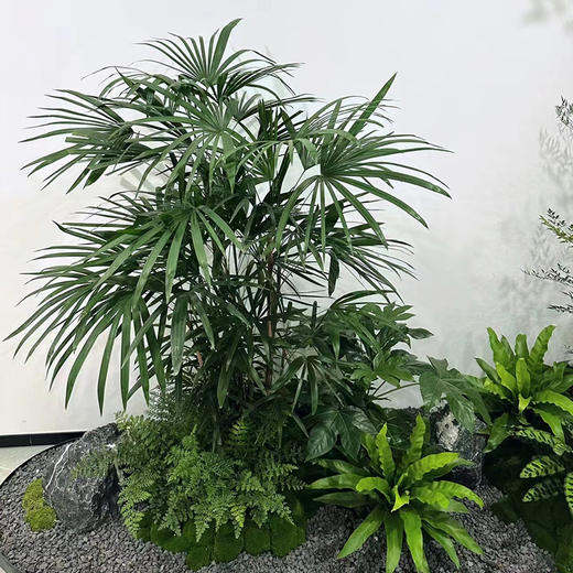 绿植流水造景组合-1份室内外植物中式禅意绿化造景定制公司前台阳台庭院花园设计 商品图3