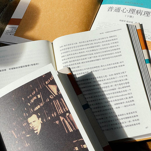 普通心理病理学 雅斯贝尔斯著作集 上中下3册精装 商品图10