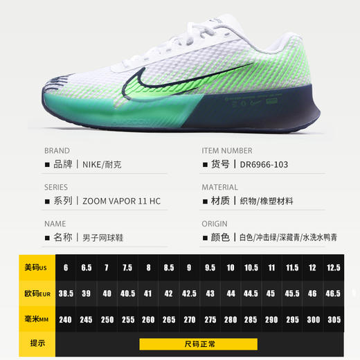 NIKE耐克网球鞋男款VAPOR 11专业运动鞋防滑耐磨透气舒适训练球鞋 商品图4