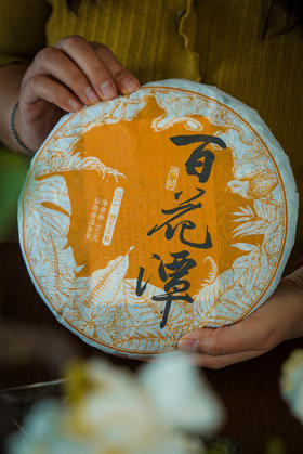 【2013百花潭】铜箐河深处，茶王树单株