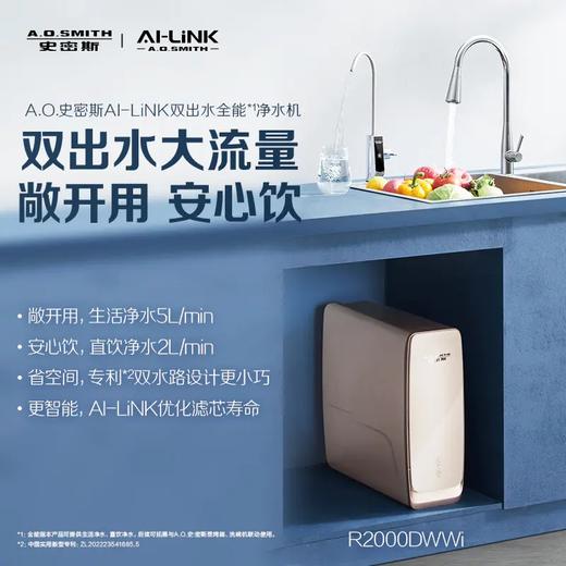 【R2000DWWi】A.O.史密斯AI-LiNK双出水全能净水机 商品图0
