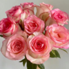 【拍市玫瑰】艾莎 20支/扎  粉色玫瑰  云南基地发货 （价格已包含包装费用） 运费以实际为准，多退少补。 商品缩略图1