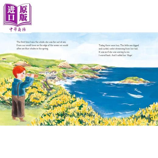 【中商原版】Laura Chamberlain Hope the Whale 蓝鲸霍普的海洋旅程 英文原版进口图书 儿童绘本 动物知识科普故事图画书 商品图2