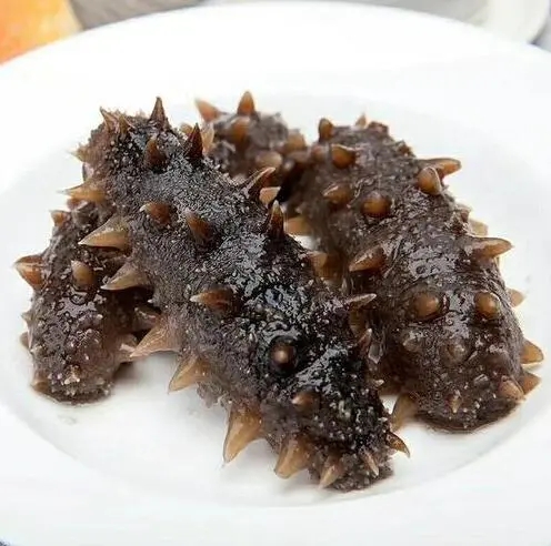 VY壮元海辽刺参钜惠组