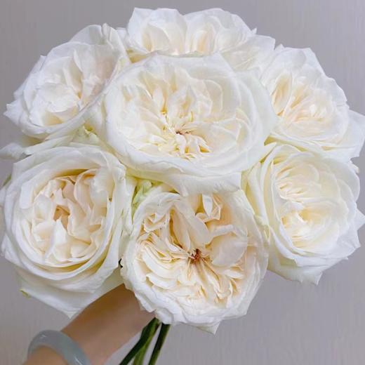 【拍市玫瑰】白荔枝 20支/扎  白色玫瑰  云南基地发货 （价格已包含包装费用） 运费以实际为准，多退少补。 商品图0