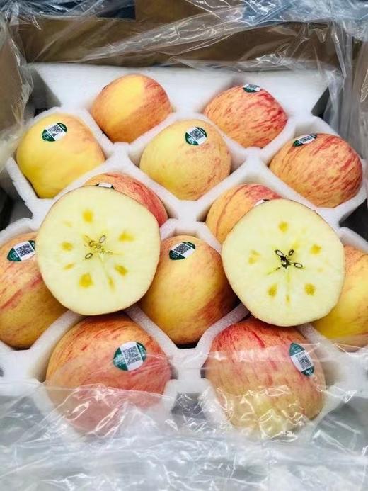 农夫山泉17度5苹果一箱 商品图3