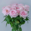 【拍市玫瑰】 粉红雪山  20支/扎  粉色玫瑰  云南基地发货 （价格已包含包装费用） 运费以实际为准，多退少补。 商品缩略图3