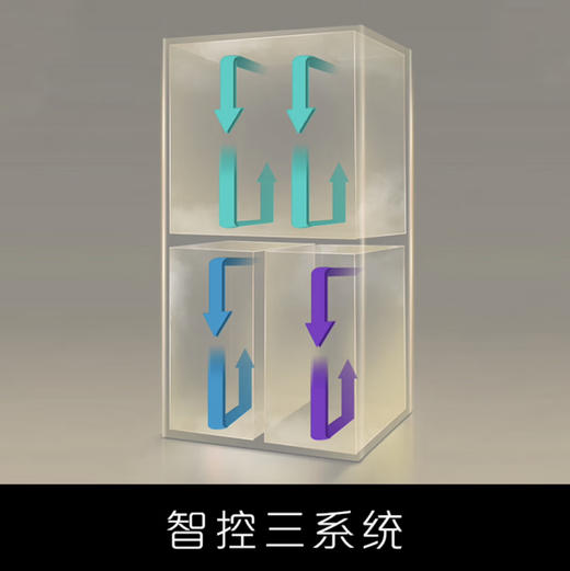 卡萨帝（Casarte）冰箱 BCD-650WGCTDM7GXU1 商品图6