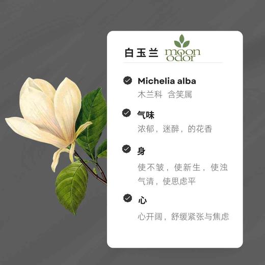 07  白玉兰精油【香气007】 商品图0