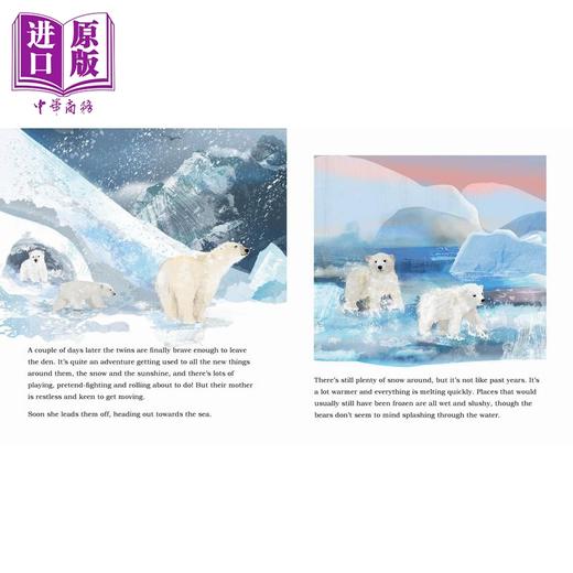 【中商原版】北极熊冰雪之旅 Martin Jenkins Ice Journey of the Polar Bear 英文原版 儿童科普绘本 动物百科知识 精装进口 商品图2