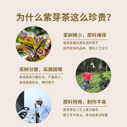 【拍4发5】澜沧古茶2023年景迈生茶小萌饼普洱茶高山生普茶饼盒装（多口味可选） 商品图4