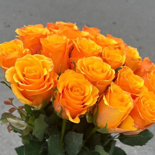 【拍市玫瑰】辉煌 20支/扎  橙色玫瑰  云南基地发货 （价格已包含包装费用） 运费以实际为准，多退少补。 商品图0