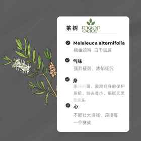 14  有机茶树精油  【香气014】