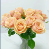 【拍市玫瑰】迪薇娜 20支/扎  橙色玫瑰  云南基地发货 （价格已包含包装费用） 运费以实际为准，多退少补。 商品缩略图0