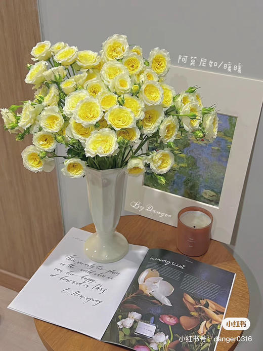 多头玫暖暖 商品图1