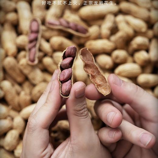 【坚果精选】龙岩紫衣湿烤花生 皮薄易剥 粒大肉满 香香脆脆越吃越上头 商品图3
