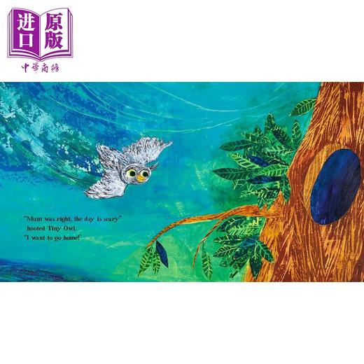 【中商原版】小猫头鹰的探险夜 Petr Horacek Tiny Owls Scary Day 英文原版 儿童绘本 动物故事书 精装精品绘本 进口童书 商品图1