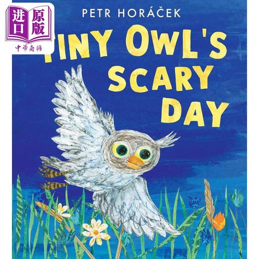【中商原版】小猫头鹰的探险夜 Petr Horacek Tiny Owls Scary Day 英文原版 儿童绘本 动物故事书 精装精品绘本 进口童书 商品图0