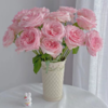 【拍市玫瑰】粉荔枝 20支/扎  粉色玫瑰  云南基地发货 （价格已包含包装费用） 运费以实际为准，多退少补。 商品缩略图1
