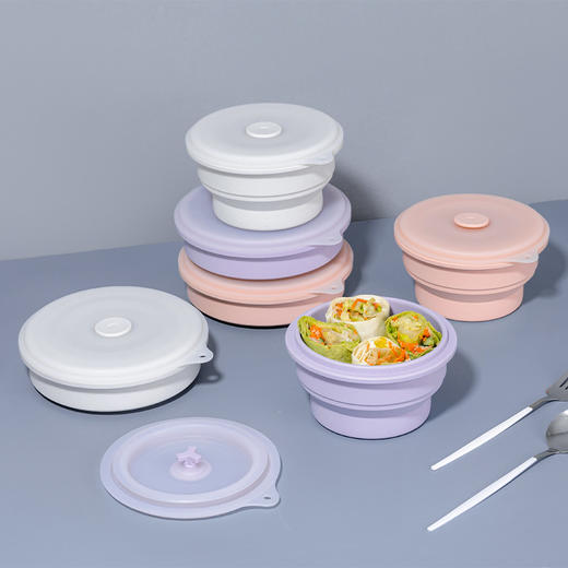 OTB欧标铂金硅胶折叠碗两件套组合 商品图4