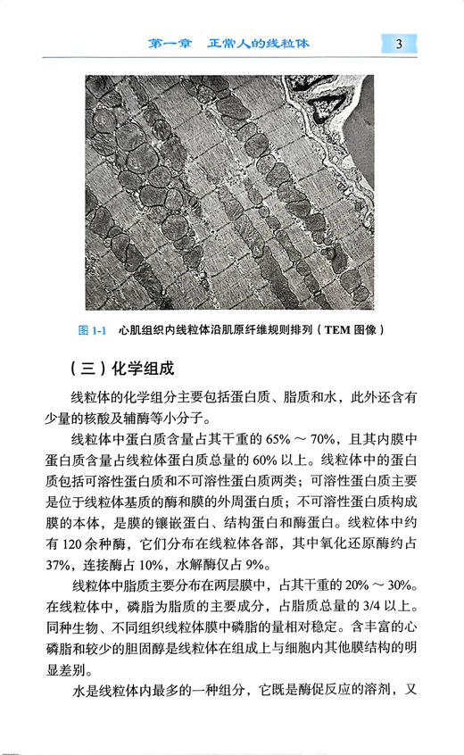 线粒体遗传病诊疗 商微主编 线粒体病诊断治疗功能障碍与相关疾病 遗传病阻断治疗研究全新进展 北京大学医学出版社9787565928734 商品图4