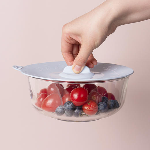 OTB铂金硅胶保鲜盖 商品图2