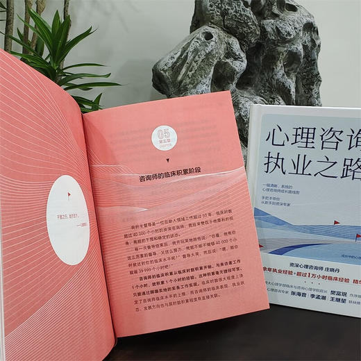 心理咨询师执业之路 庄晓丹 著 心理学 商品图1