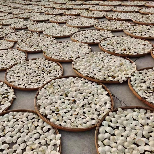 丨生态丨正宗8年新会陈皮 新会核心产区 554项农场零检出 商品图12