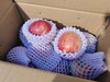 高原小甜心苹果一箱 商品缩略图1