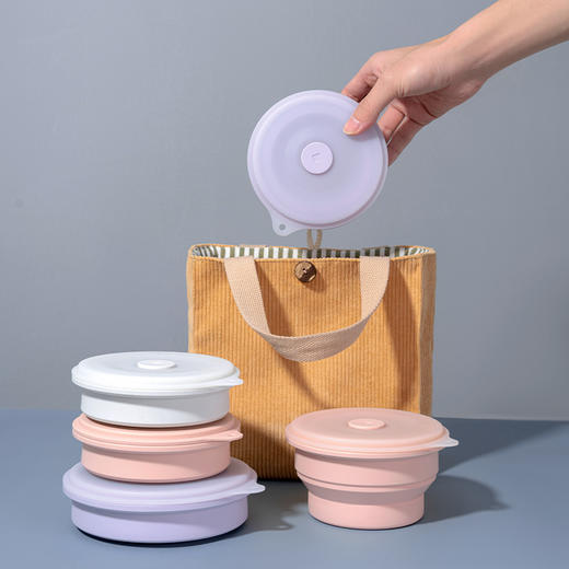 OTB欧标铂金硅胶折叠碗两件套组合 商品图2