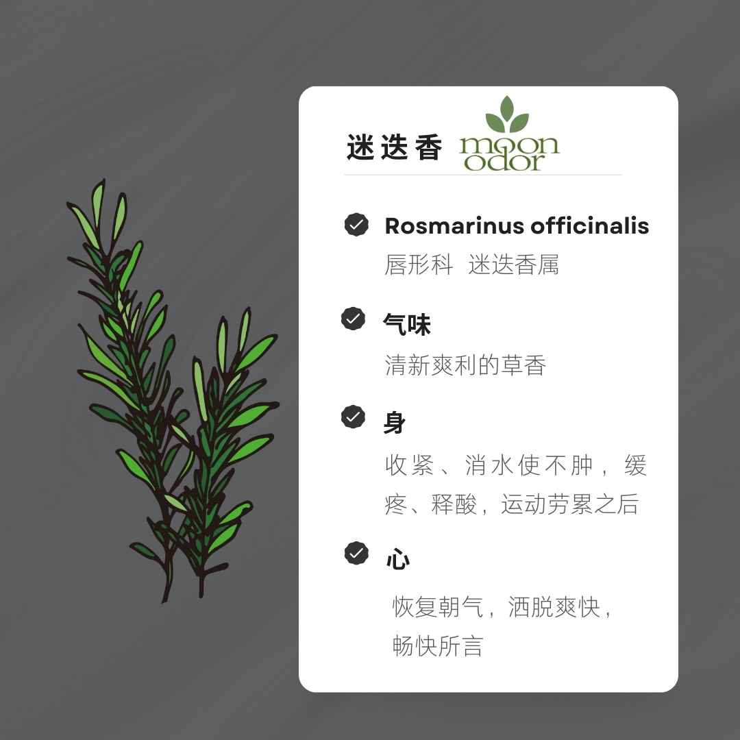 08  有机桉油醇迷迭香  复苏吧内在的小宇宙 【香气008】