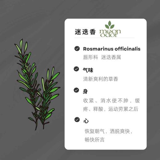 08  有机桉油醇迷迭香  复苏吧内在的小宇宙 【香气008】 商品图0