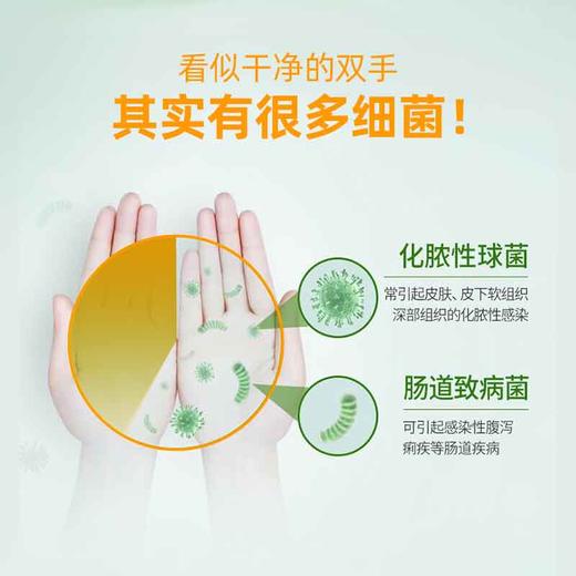 大豆抑菌洗手液 商品图0