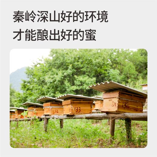 九制纯黑芝麻丸（蜂蜜版）丨 300g*2瓶 商品图4