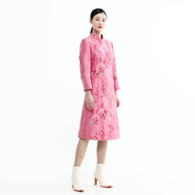 戴布拉芬连衣裙L26D586